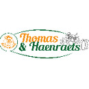 Logo Thomas-Haenraets GbR in Hürth